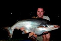 Thai Fish Species - Catfish Shark