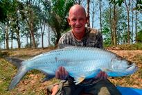 Thai Fish Species - Atlantic Tarpon