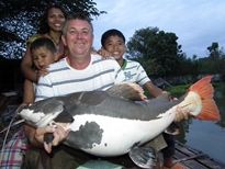 Thai Fish Species - Amazon Redtail