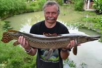 Thai Fish Species - Spotted Gar