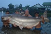 Mekong Catfish