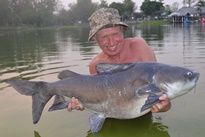 Thai Fish Species - Salween Rita