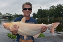 Thai Fish Species - Thai Catfish Shark
