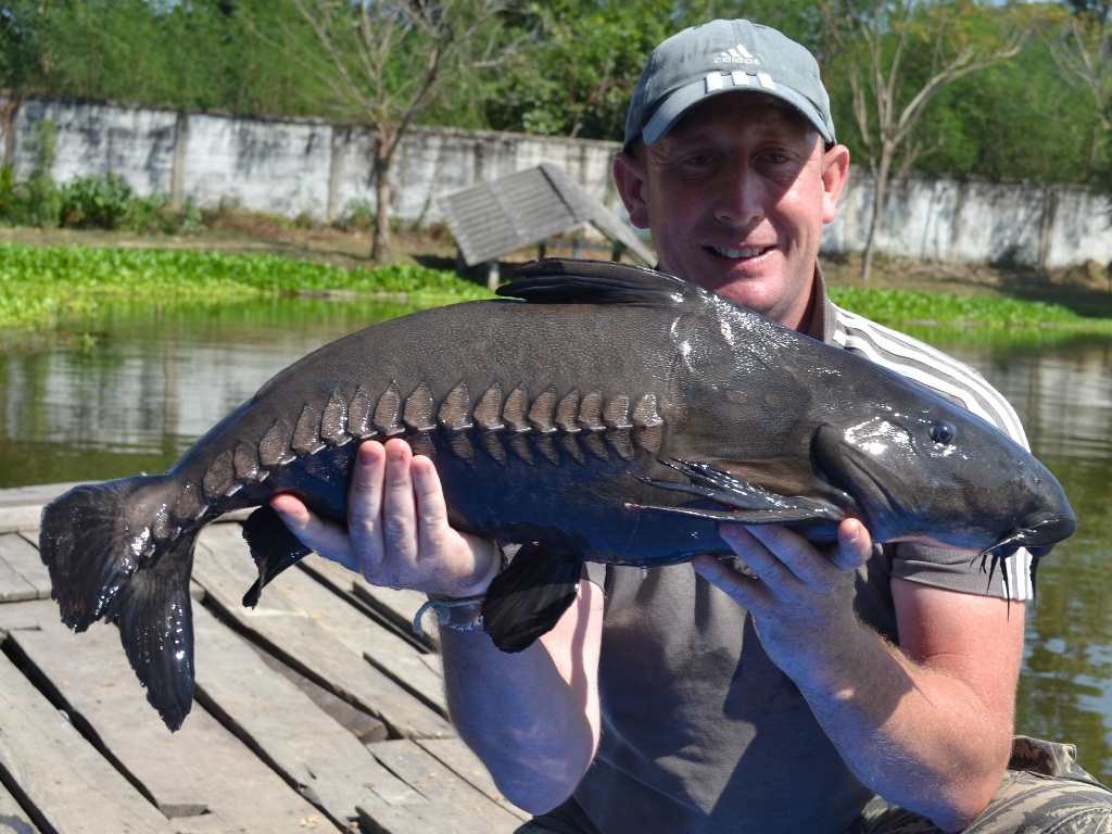 John Harvey - Ripsaw Catfish