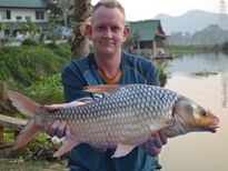 Thai Fish Species - Soldier River Barb