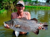 Thai Fish Species - Barramundi