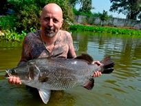 Thai Fish Species - Barramundi