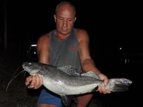 Thai Fish Species - Chinese Highfin Catfish