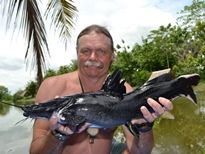 Thai Fish species - Crystal Eyed Catfish