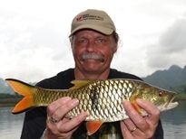 Eye-Spot Barb