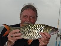 Thai Fish Species - Jungle Perch