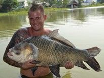 Thai Fish Species - Catla Carp