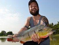 Thai Fish Species - Peacock Bass