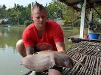 Thai Fish Species - White-Edge Stingray
