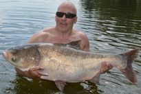 Chinese Bighead Carp