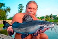 Thai Fish Species - Chinese Highfin Catfish