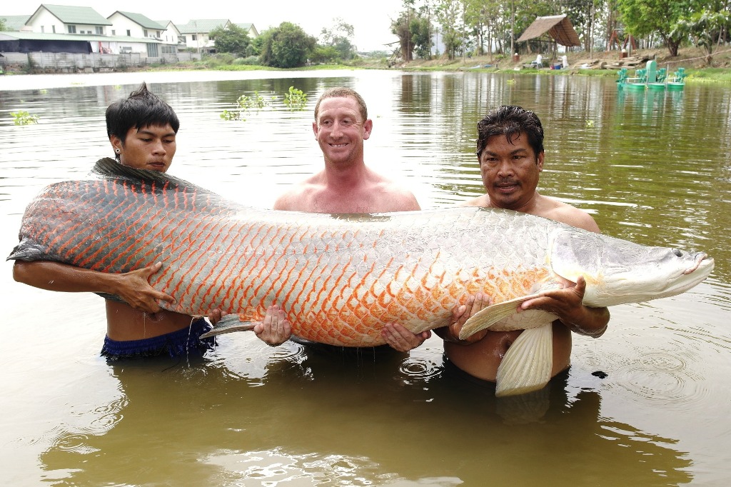 John Harvey - Arapaima
