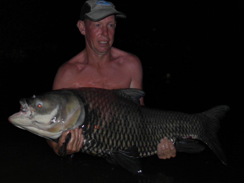 Darren Stock - Siamese Carp