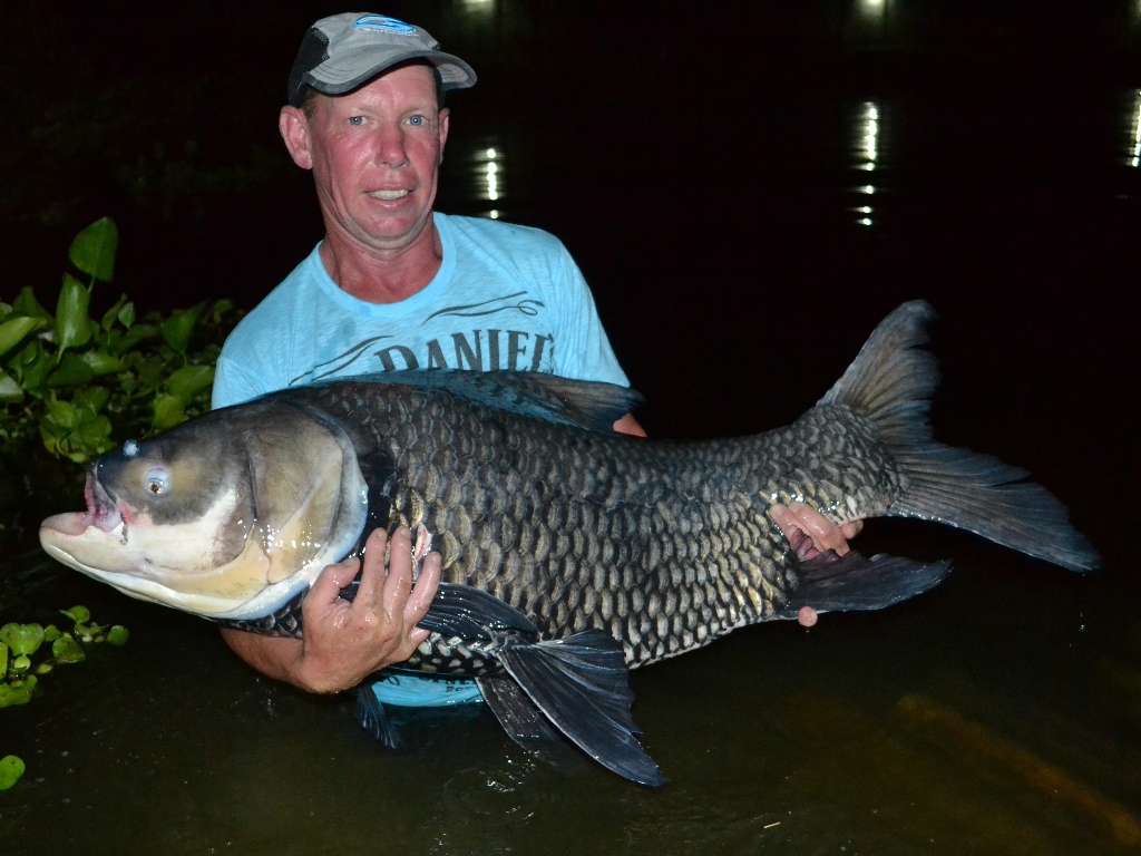 Darren Stock - Siamese Carp