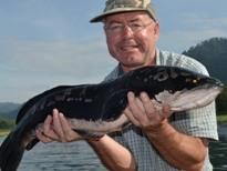 Fishing in Thailand - Giant Snakehead