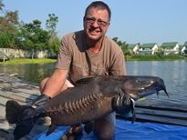 Thai Fish Species - Ripsaw Catfish