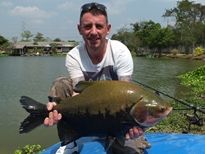 Thai Fish Species - Tambaqui