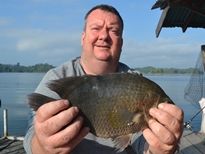 Thai Fish Species - Nandid Tiger Perch