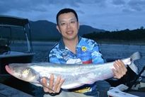 Thai Fish Species - Whisker Sheatfish