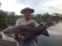 Thai Fish Species - Salween Rita