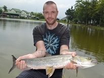 Thai Fish Species - Yellowcheek Carp