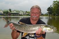 Thai Fish Species - Yellowcheek Carp