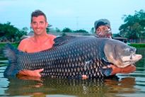 Thai Fish Species - Siamese Carp