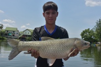 Thai Fish Species - Silver Carp