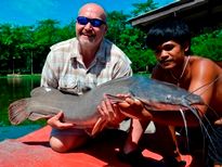 Thai Fish Species - Vundu Catfish