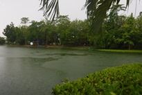 View of Palm Tree Lagoon Fishery