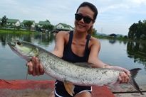 Thai Fish Species - Yellowcheek Carp