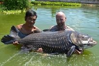 Click Here For Carp Package Info