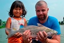 Thai Fish Species - Vulture Catfish
