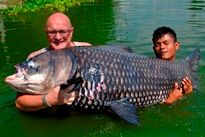 Java Barb 3.85kg
