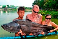 Thai Fish Species - Wallago Leeri