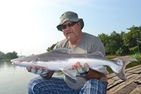 Thai Fish Species - Lau Lau