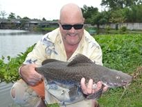 Thai Fish Species - Marble Catfish