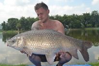 Thai Fish Species - Rohu