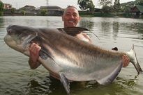 Fishing in Thailand - Chao Phraya Catfish