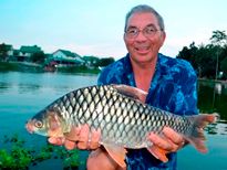 Thai Fish Species - Golden Tinfoil Barb