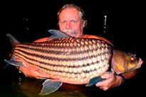 Juliens Golden Price Carp