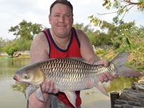 Thai Fish Species - Mad Barb