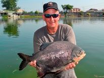 Thai Fish Species - Parapatinga