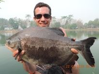 Thai Fish Species - Parapatinga