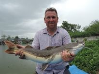 Thai Fish Species - Leopard Catfish